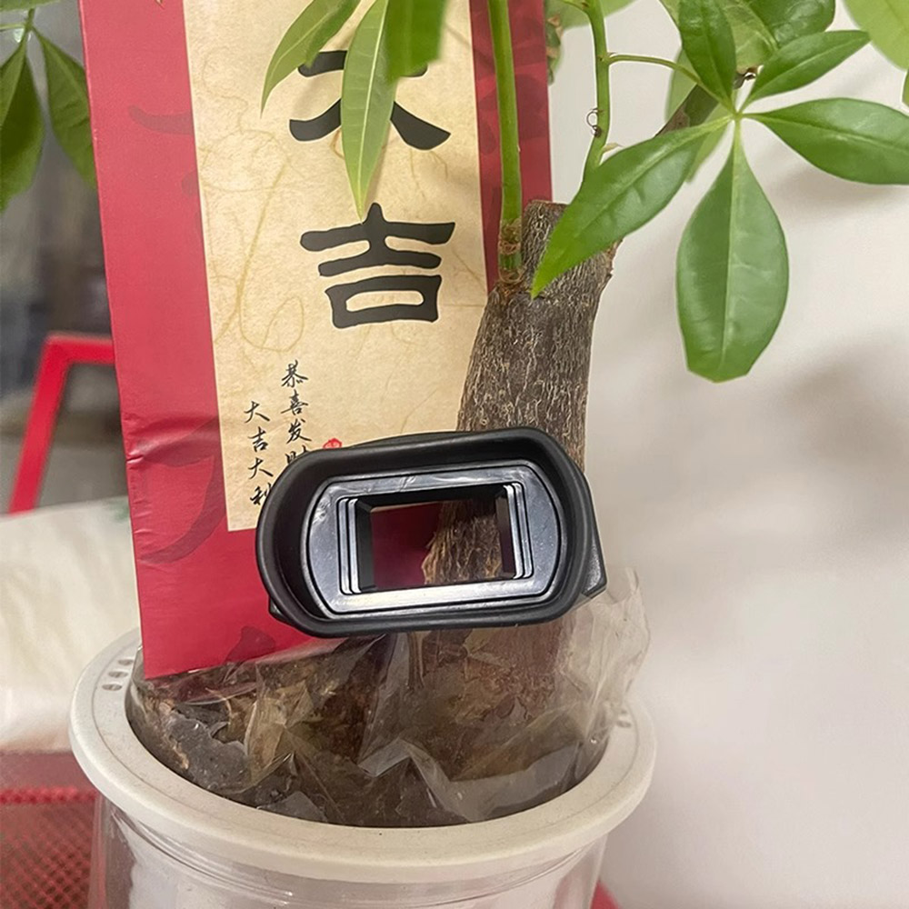 New EG Rubber Eye Cup Viewfind - Nikon Camera D3500 review and price
